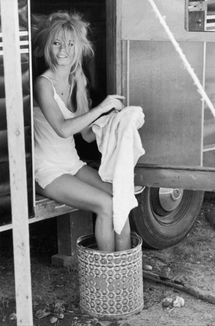 Beautiful Brigitte Bardot (29 pics)