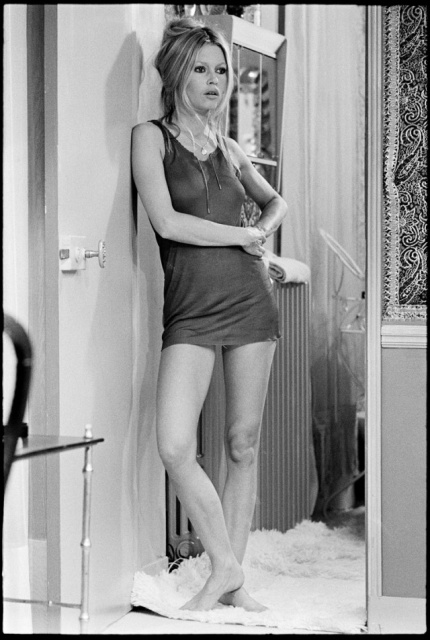 Beautiful Brigitte Bardot (29 pics)