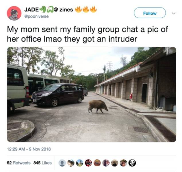 Family Group Chats (22 pics)