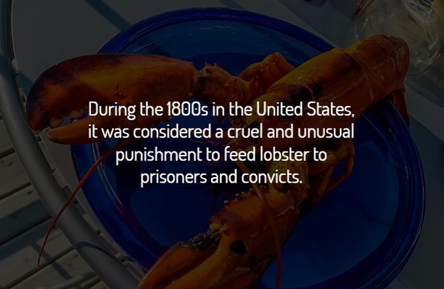 Interesting History Facts (17 pics)