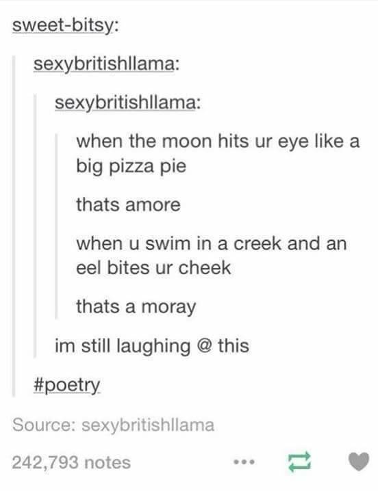 Funny Jokes (21 pics)