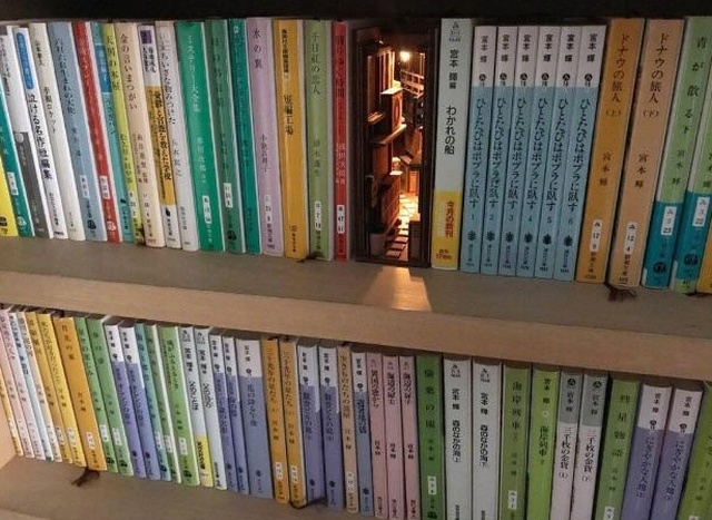 Cool Stuff For Your Shelf (3 pics)