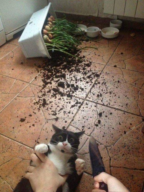 Kind Of Confusing (46 pics)