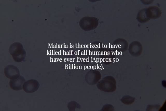 Creepy Facts (17 pics)