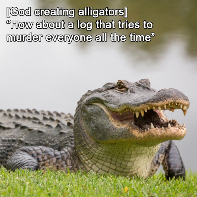How God Created Animals (17 pics)