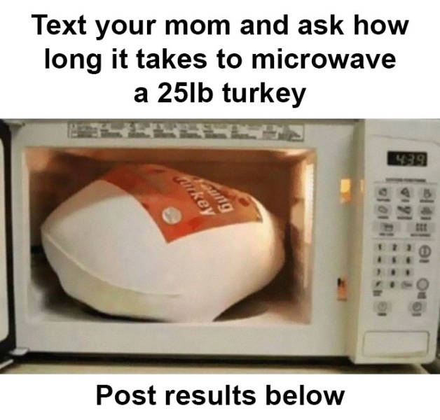 Ask Your Parents How To Cook A Turkey In A Microwave (32 pics)