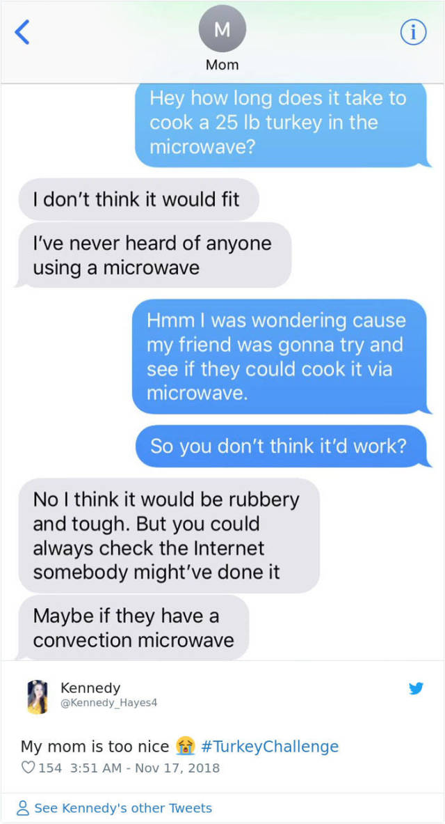 Ask Your Parents How To Cook A Turkey In A Microwave (32 pics)