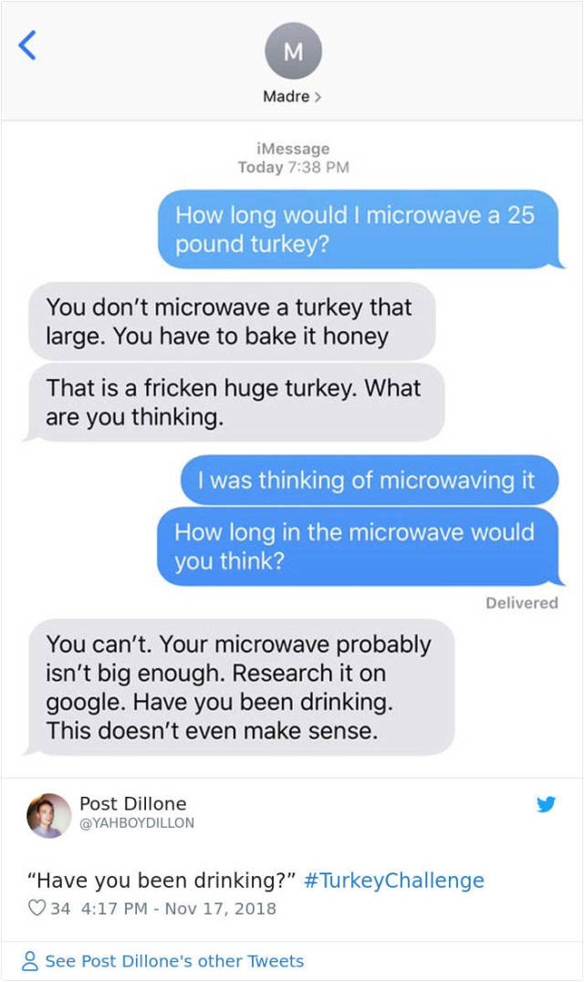 Ask Your Parents How To Cook A Turkey In A Microwave (32 pics)