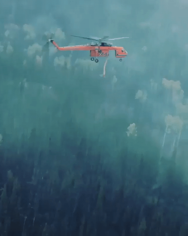 How It's Done (13 gifs)