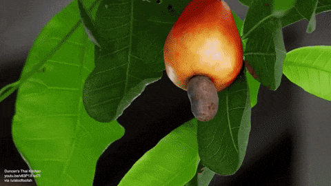 How It's Done (13 gifs)