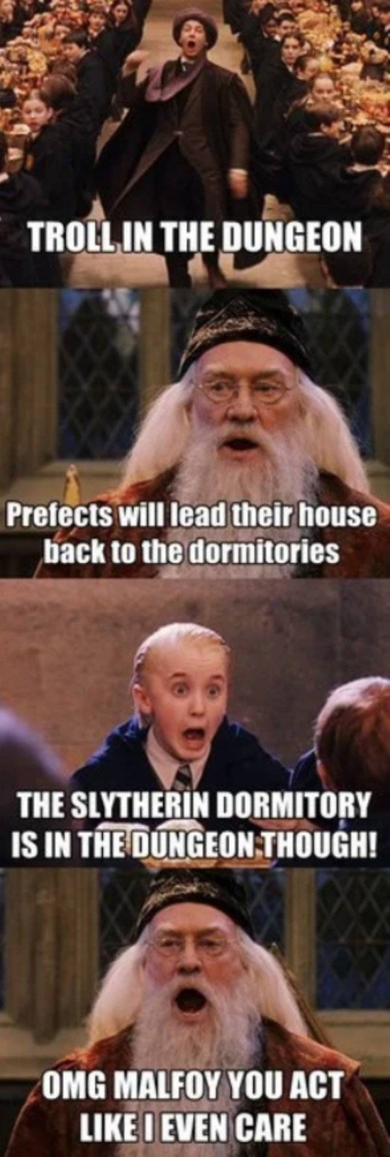 Avada Memeavra! (33 pics)