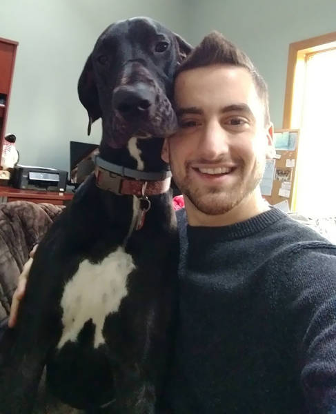 Great Danes Are The World’s Largest Lapdogs (33 pics)