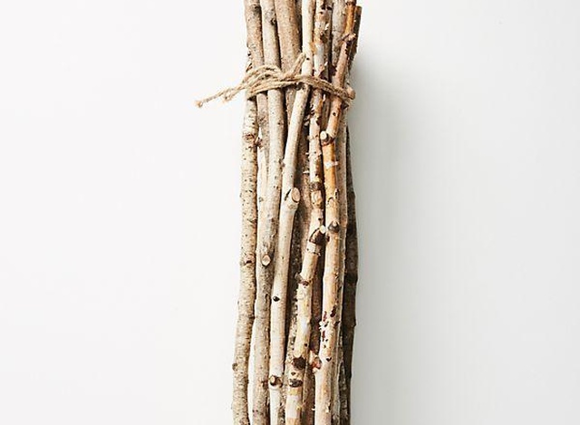 Very Expensive Bunch of Twigs (3 pics)