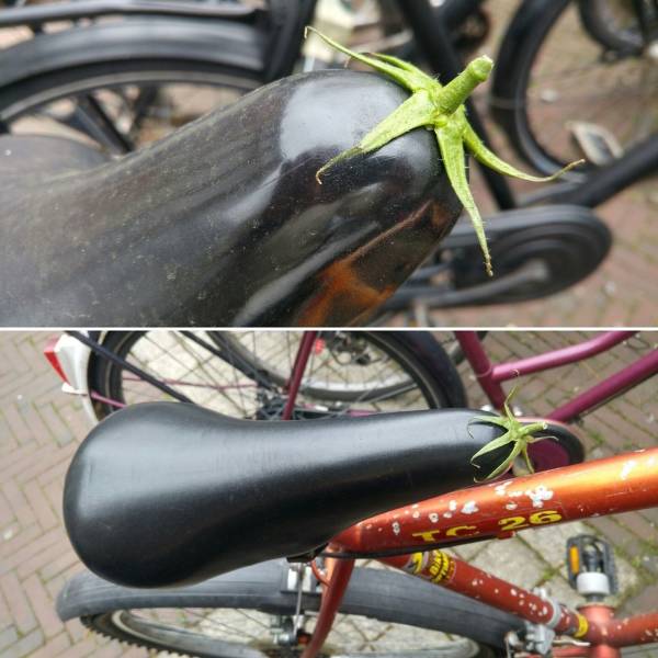 Acid Picdump (105 pics)