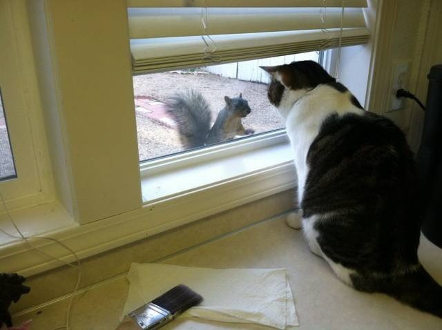 Acid Picdump (105 pics)