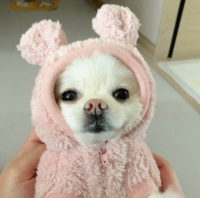 Acid Picdump (105 pics)