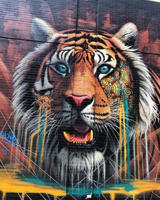 Acid Picdump (105 pics)