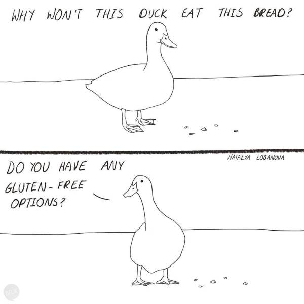 These Comics Are So True (25 pics)