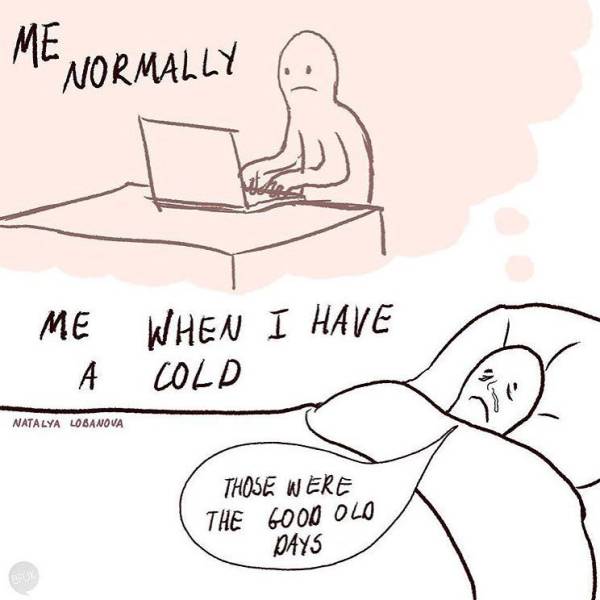 These Comics Are So True (25 pics)