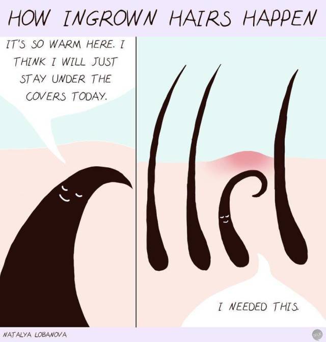 These Comics Are So True (25 pics)