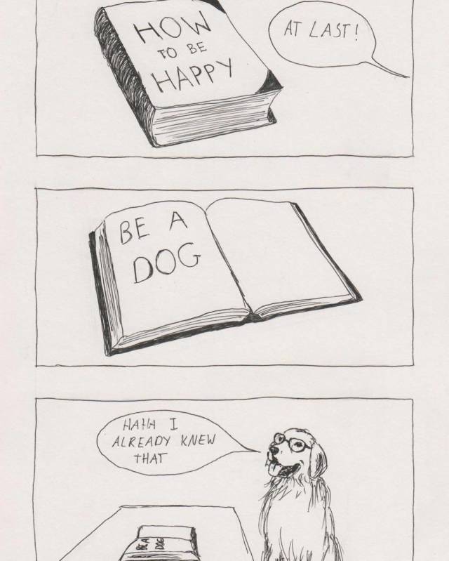 These Comics Are So True (25 pics)
