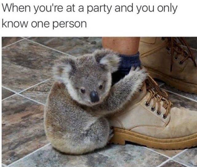 Memes About Anxiety (48 pics)