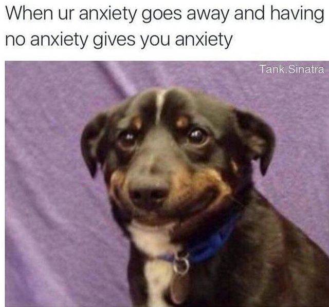 Memes About Anxiety (48 pics)