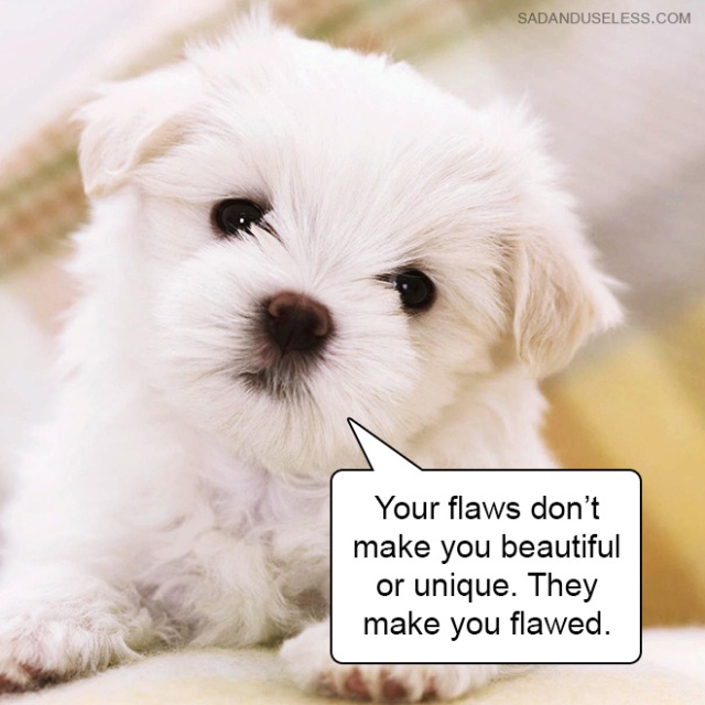 Hard Truths From Cute Puppies (18 pics)