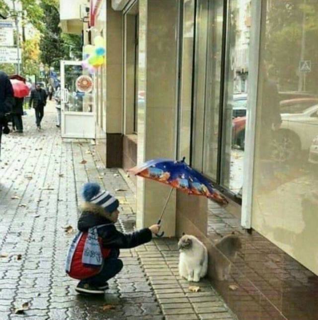 When A Picture Says More Than Just A Thousand Words (44 pics)
