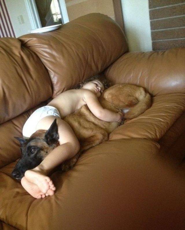 When A Picture Says More Than Just A Thousand Words (44 pics)