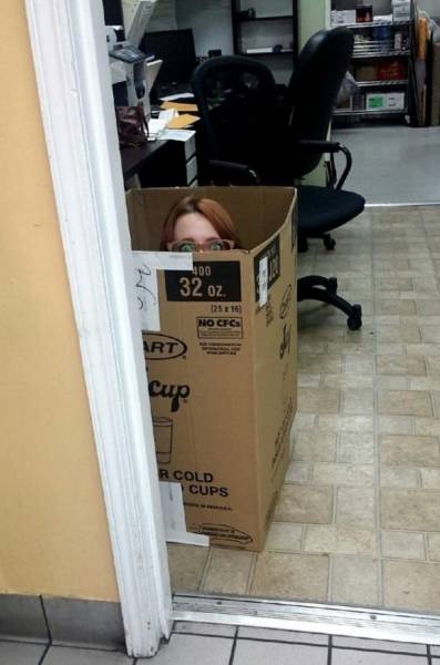 Fun At Work (47 pics)