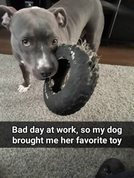 Fun At Work (47 pics)