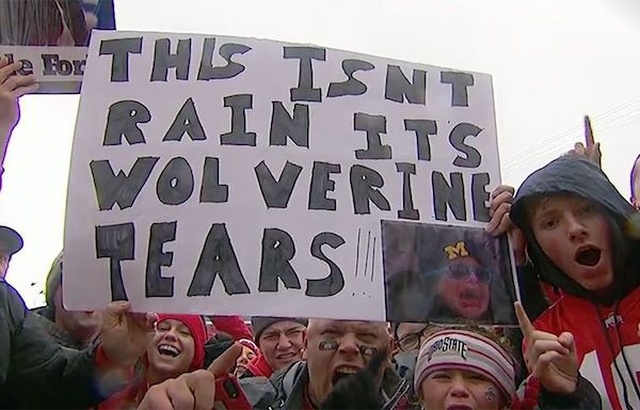 College Gameday Signs (16 pics)