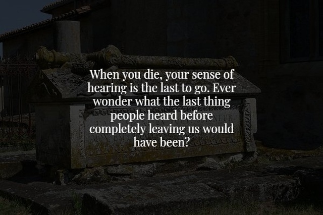 Scary Facts (17 pics)