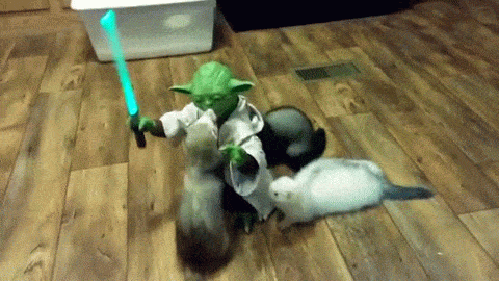 Acid Gifdump, November 27, 2018 (25 gifs)