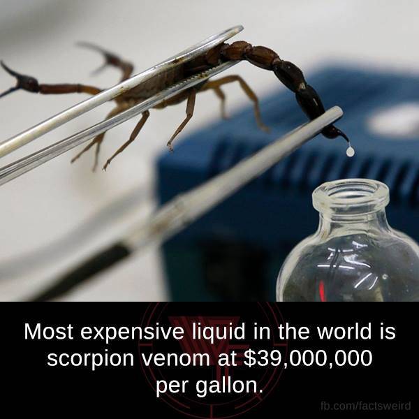 Interesting Facts (29 pics)