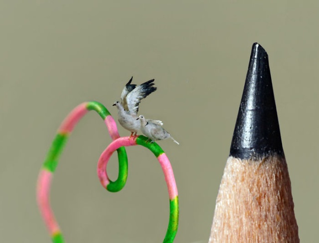 Tiny Birds (18 pics)
