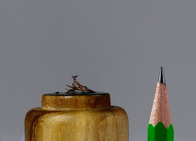 Tiny Birds (18 pics)