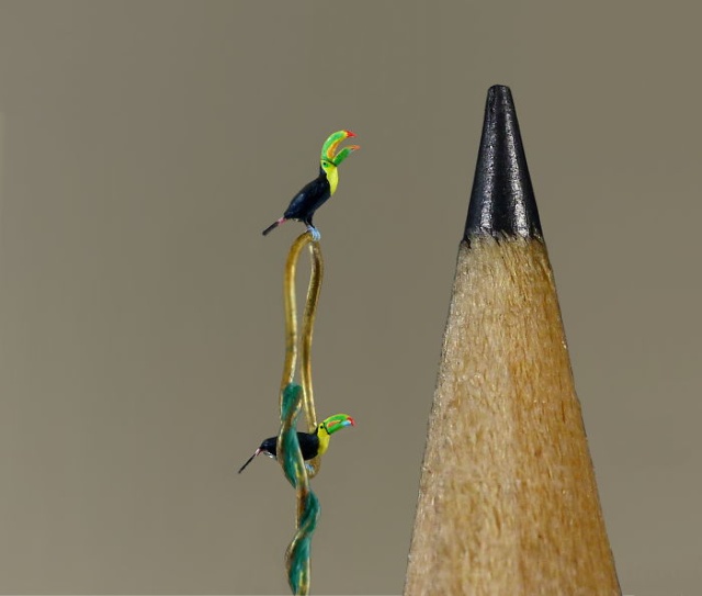 Tiny Birds (18 pics)