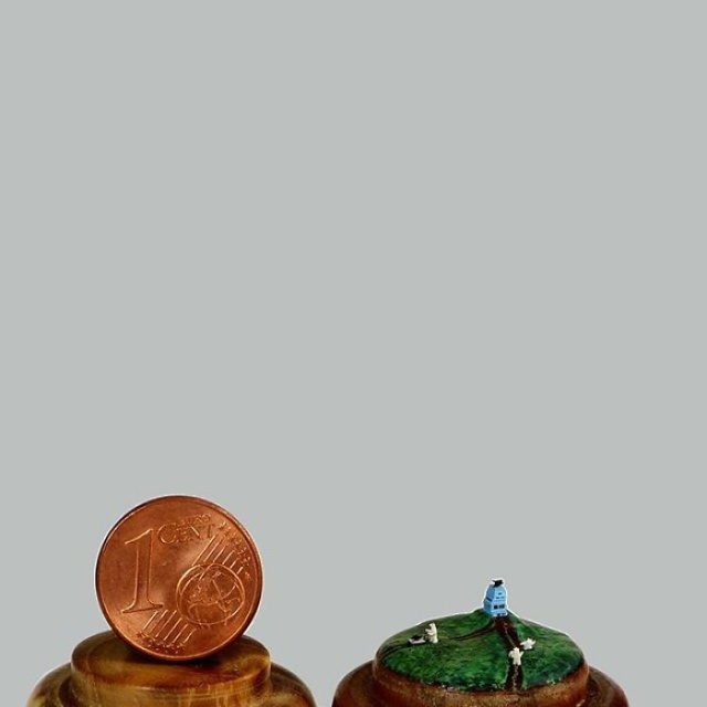 Tiny Birds (18 pics)