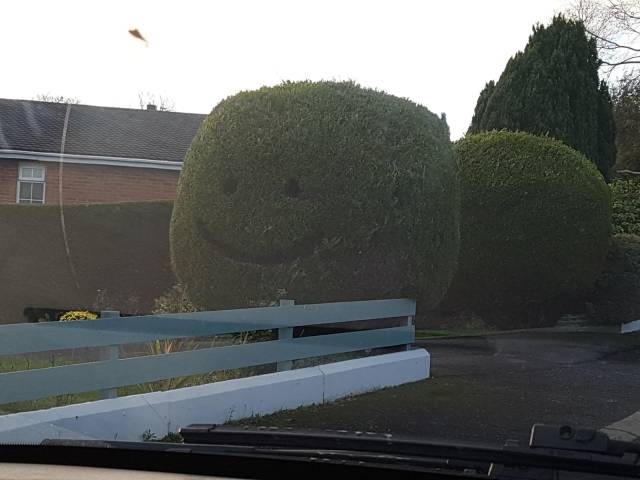 Acid Picdump (102 pics)