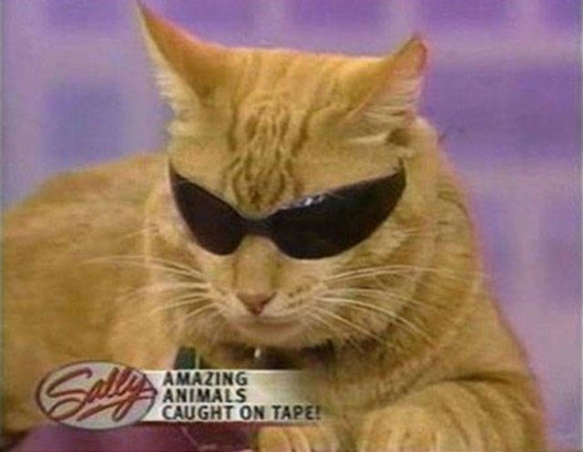 Acid Picdump (102 pics)