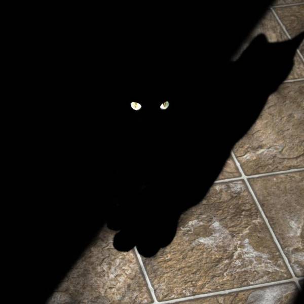 Acid Picdump (102 pics)