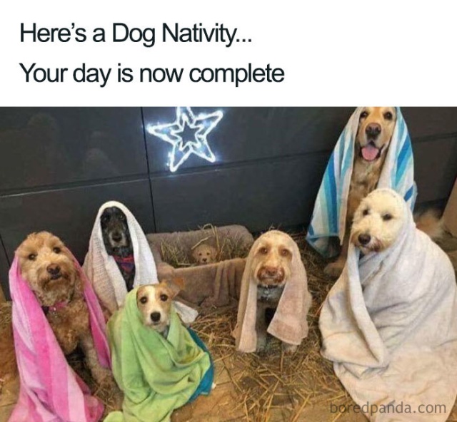 Funny Christmas Memes (30 pics)