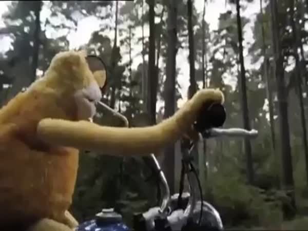 Every Motorcyclist's Worst Dream