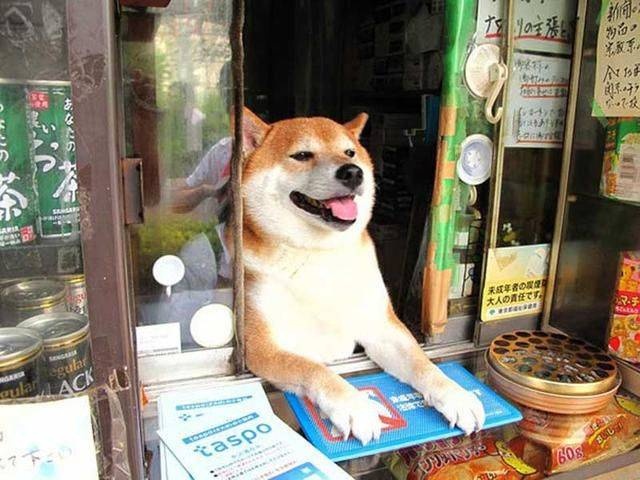 Acid Picdump (96 pics)