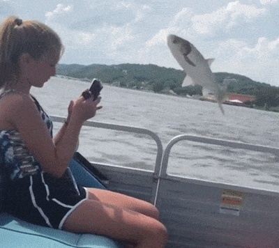 Acid Gifdump, November 30, 2018 (25 gifs)