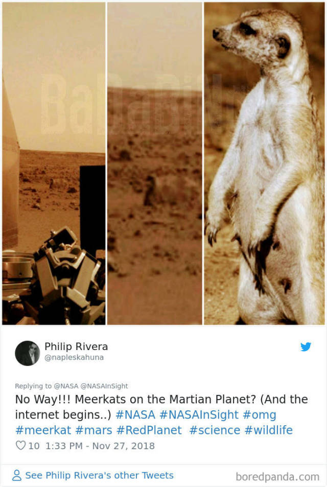 Memes About NASA’s InSight’s First Photos From Mars (45 pics)