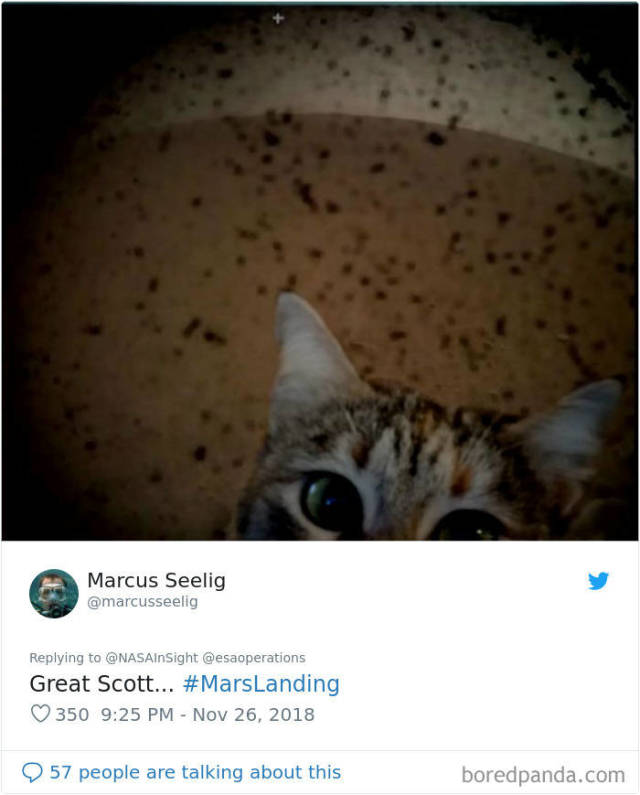 Memes About NASA’s InSight’s First Photos From Mars (45 pics)