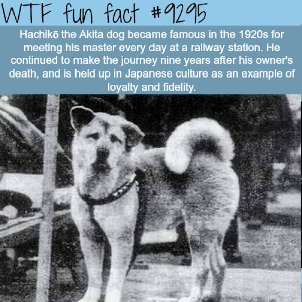 interesting-facts-19-pics